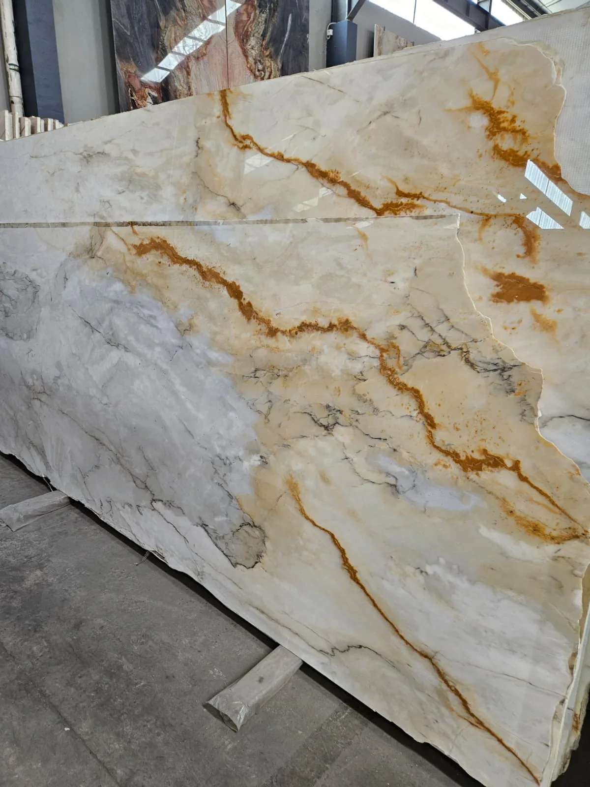 Bellara / material visual