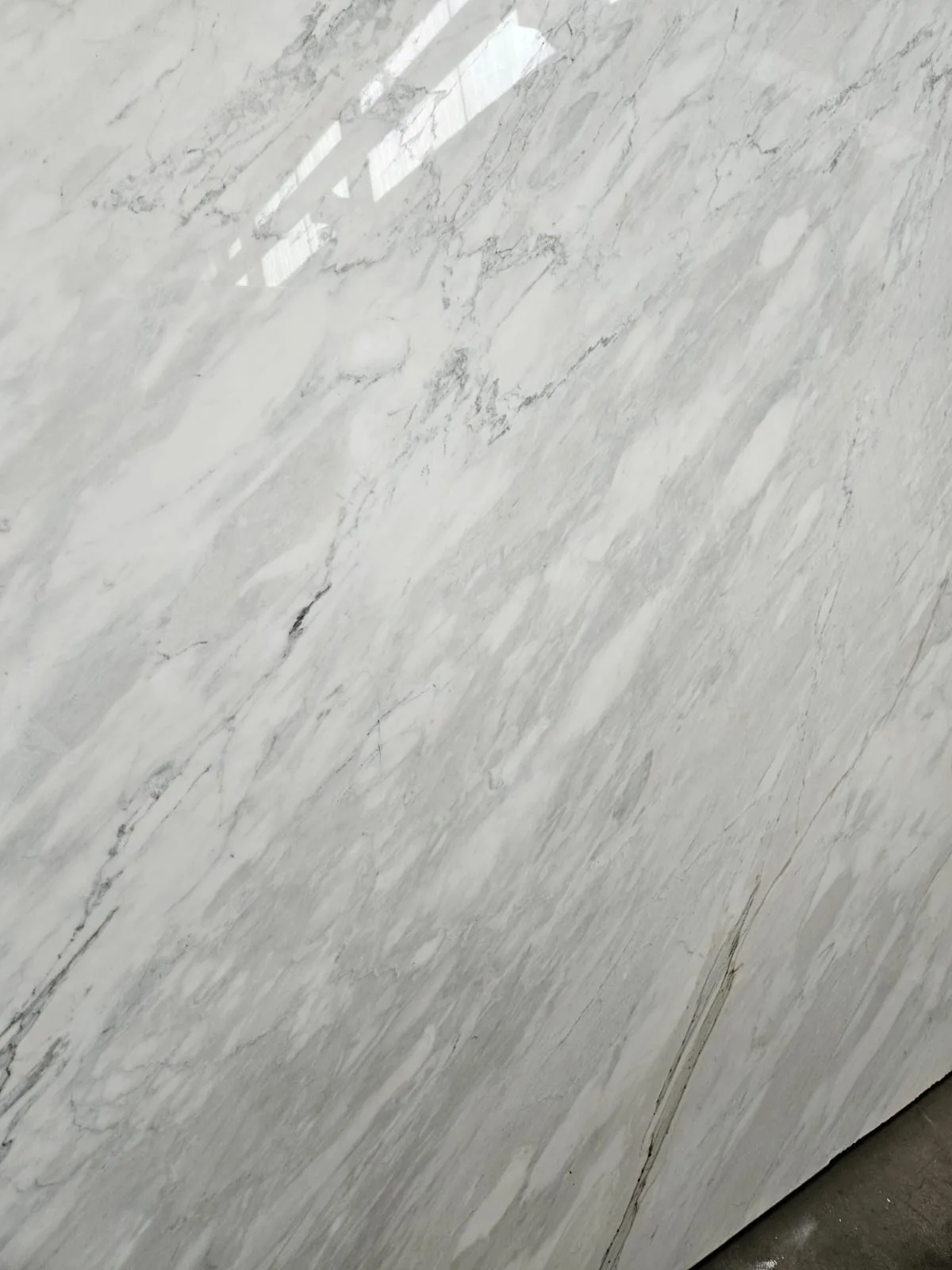 Petrae / material visual